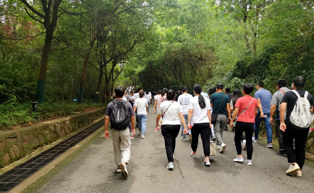 【动态】认真工作,快乐生活——k8凯发科技六周年登山活动圆满落幕 【动态】认真工作,快乐生活——k8凯发科技六周年登山活动圆满落幕