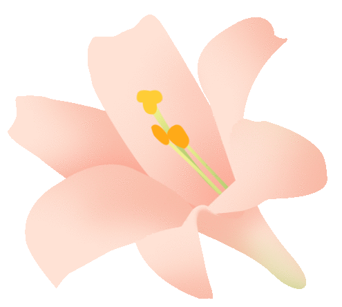 ̬Լ ݮá k8Ůڲժ